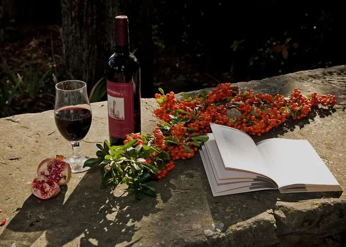 Medieval Tower Mit Whirlpool Auf Der Dachterrasse By Interhome